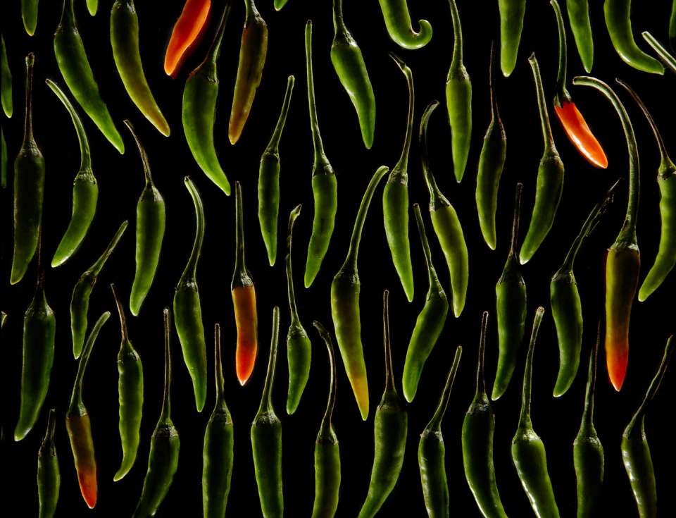 Lucas Zarebinski photography - Peppers